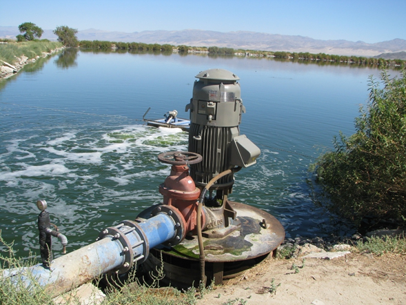 Wastewater Pond