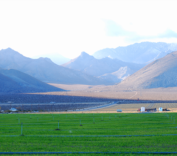 Mountians North of Ridgecrest