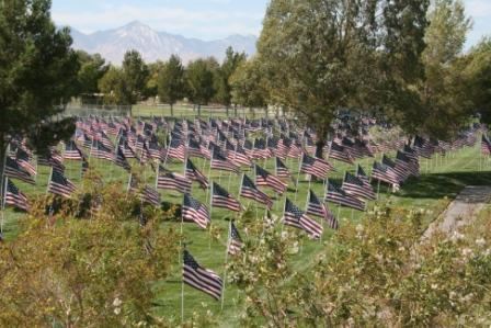 Flags in the ground at Freedom Park